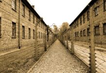 Ile trzeba mieć lat żeby wejść do Auschwitz?